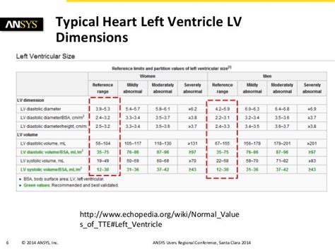 normal size of left ventricle.